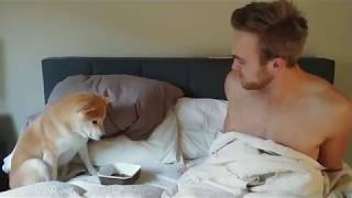 Brekkies in Bed 😂😂 by James Scurlock 37,693 views 6 years ago 1 minute, 49 seconds