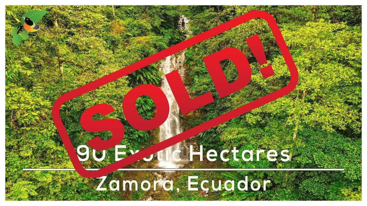 [SOLD] 90 Exotic Hectares With Waterfalls & Monkeys Zamora, Ecuador