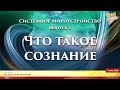 Что такое СОЗНАНИЕ. Системное Мироустройство. Вадим Герливанов. Выпуск 3