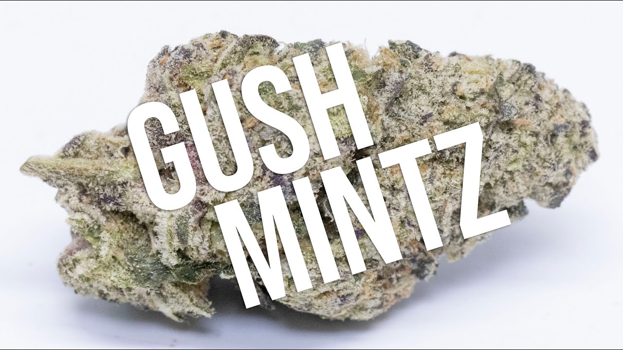 Gush Mintz