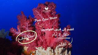 PADI Open Water Diver - Arabic section 2