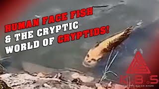 Human Face Fish & The Cryptic World Of Cryptids | KBS LIVE!