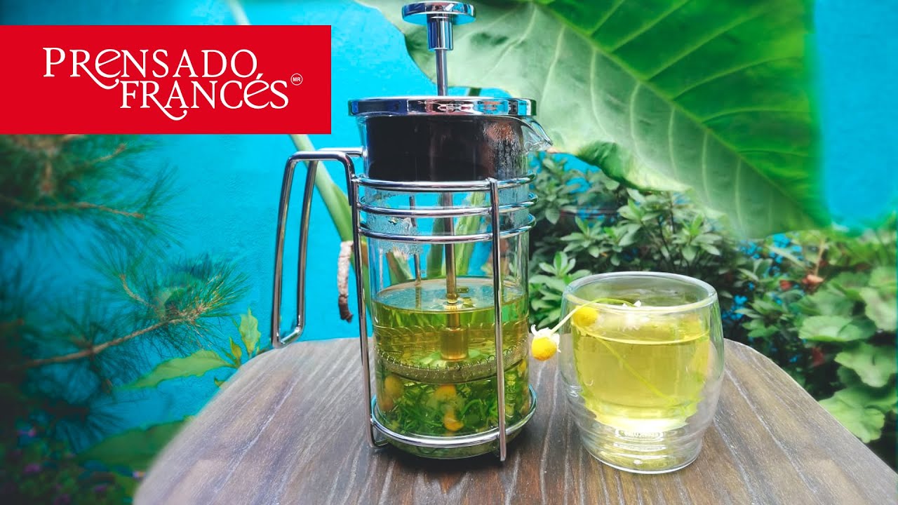 Como preparar un Té o Infusión de Manzanilla con Prensa Francesa? |  Prensado Francés - YouTube