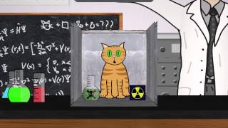 Animation Sequence Project - Schrödinger's Cat