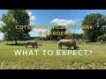 Cotswold wildlife park and gardens what to expect