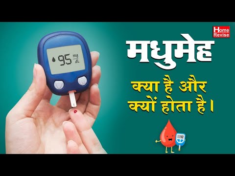 वीडियो: गधों में हाइपरलिपीमिया क्या है?