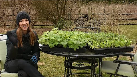 Planting Cool Flowers // Very Early Spring Hardy A...