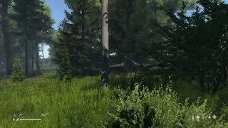 DayZ Conquest Server