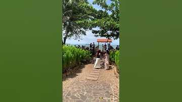 Phát hiện quán Cà Phê vừa có suối vừa có view Biển Vũng Tàu