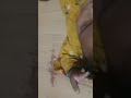 #chhoti #Shivangi ko kutte ne kiya disturb#
