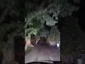 🌙 Keep Moving Forward | Motivational Night Journey ✨ #shorts