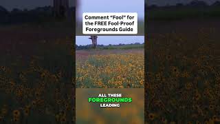 Fool-Proof Foregrounds