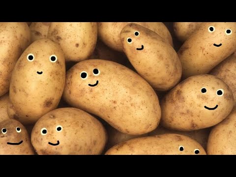 Potato