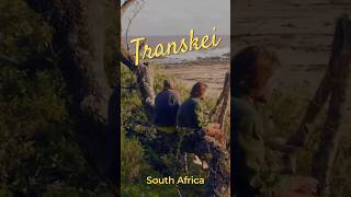 Transkei, Eastern Cape || 2021 🌴 #transkei #easterncape #southafrica