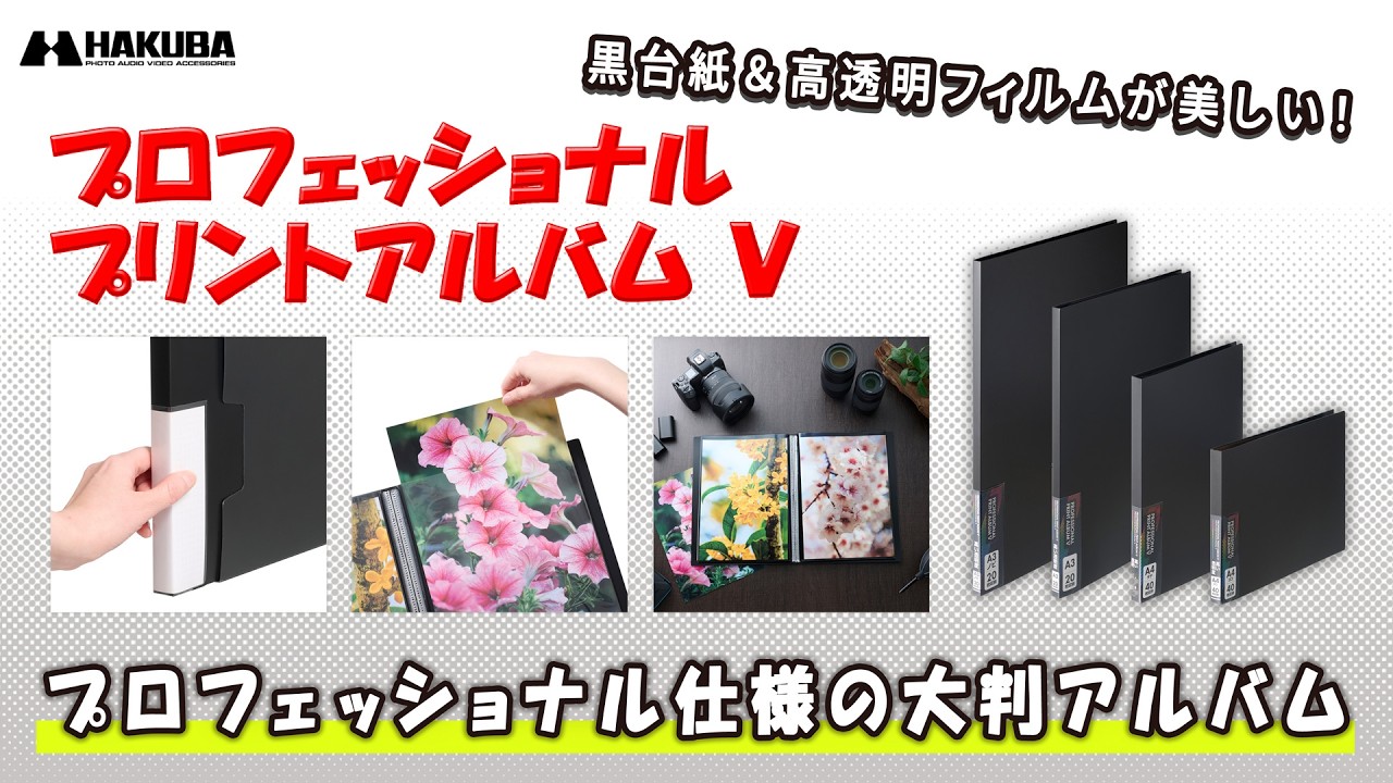 プロフェッショナルプリントアルバム V A3ノビサイズ 20枚収納