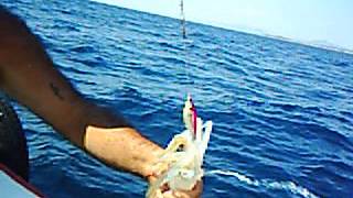 0139 Abdullah Bey Ne Olur Ne Olmaz Deyip Kalamari Avucladi.