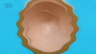 Super Special Effects - The Oreo Wonder Flavors P-Major Effect Video Tutorial