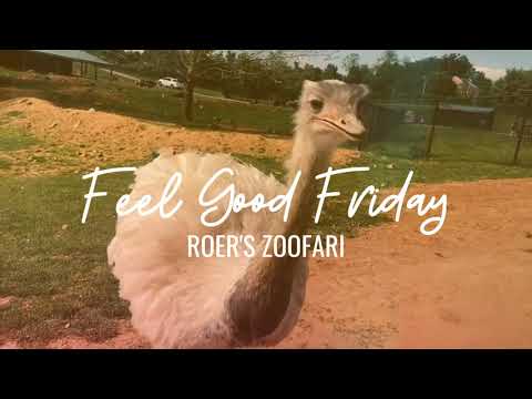 Video: Feel Good Fridays: Vin Til Vand Velgørenhed