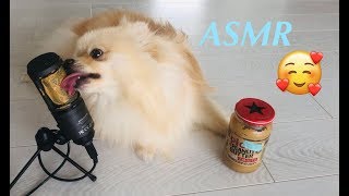 I put peanut butter on the microphone (ASMR) screenshot 2