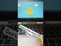 CSS Chick Animation!