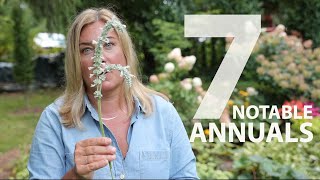 7 notable annuals I'm growing this year 🌿🌸
