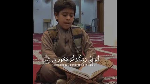 قرآن كريم بصوت القارئ انس الشهاب 😔 صوت هادئ وجميل