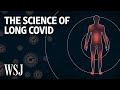 What Causes Long Covid and Who Is Most at Risk? | WSJ