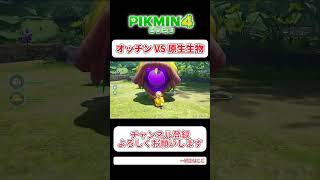 ピクミン4 オッチン VS コウテイデメマダラ