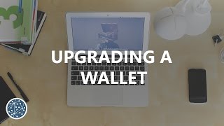 How To Safely Upgrade A Wallet (LitecoinBitcoin)