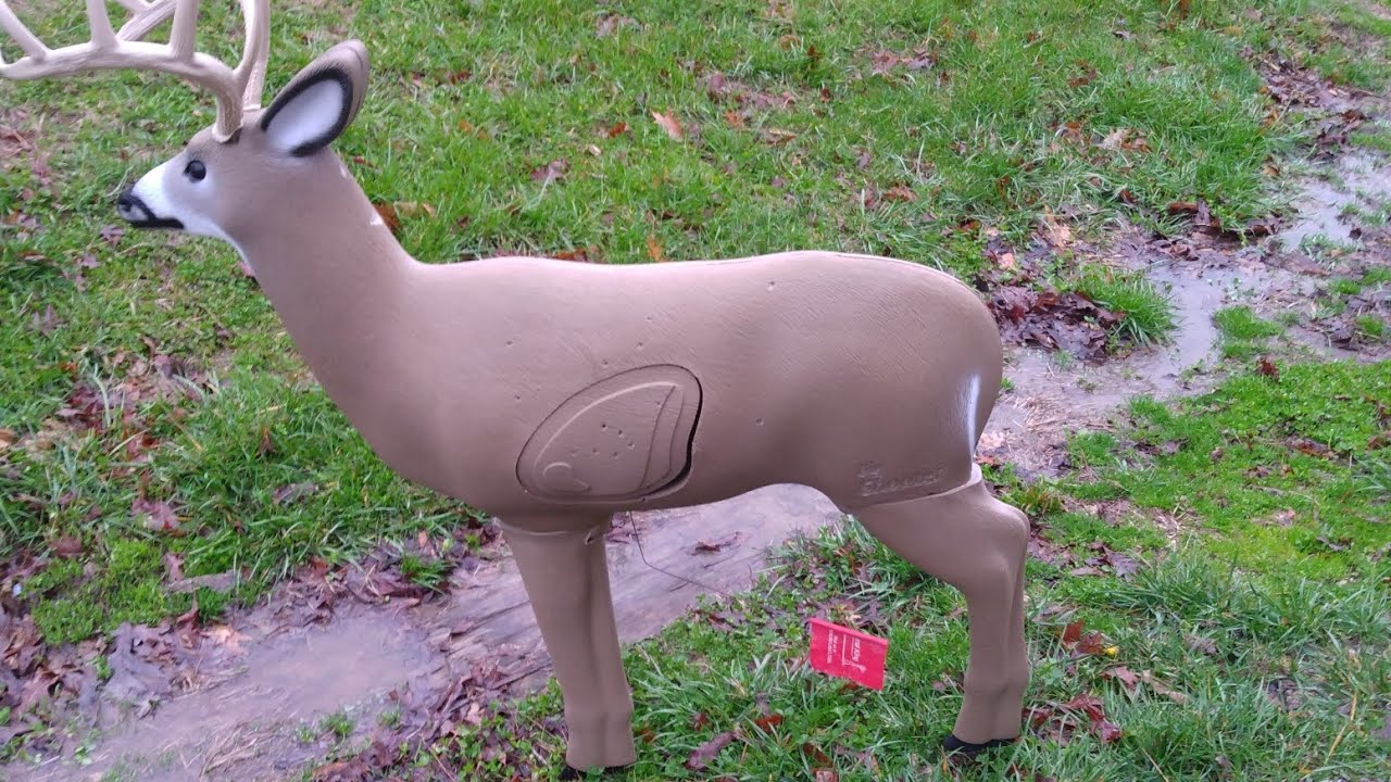 Big Shooter 3D Deer Target Shooting/Review!!!