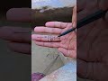 #astrology #motivation #palmistry #reels #viral #reelsऐसे #shortsfeed #trending