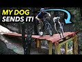 Building an INSANE Banked Drop and Riding it with MY DOG!! // Choose Your Own Trail Pt. 4