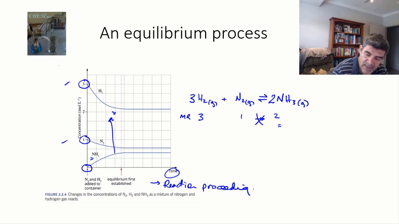 Chemical equilibria vs completion reactions | Equilibrium | meriSTEM