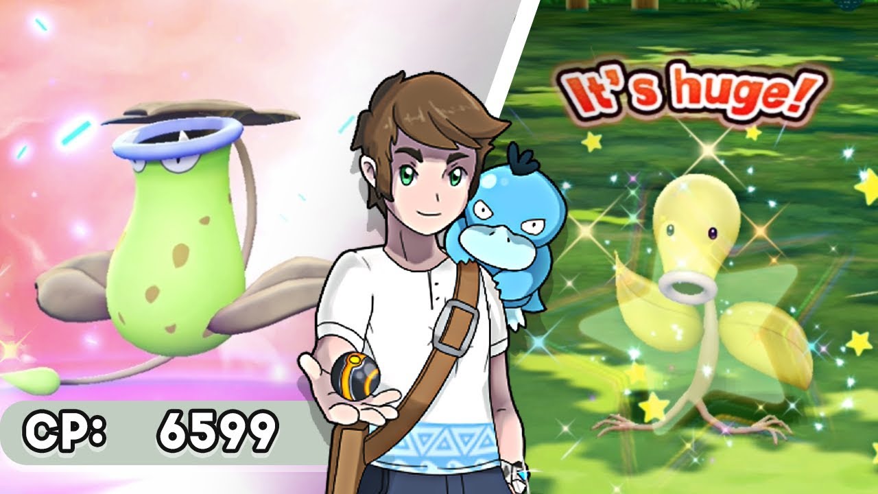 Live Shiny Bellsprout Victreebel Stats After A 190 Catch Combo Pokemon Let S Go Eevee Youtube