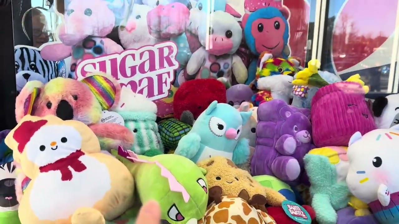 What is the purple thing?