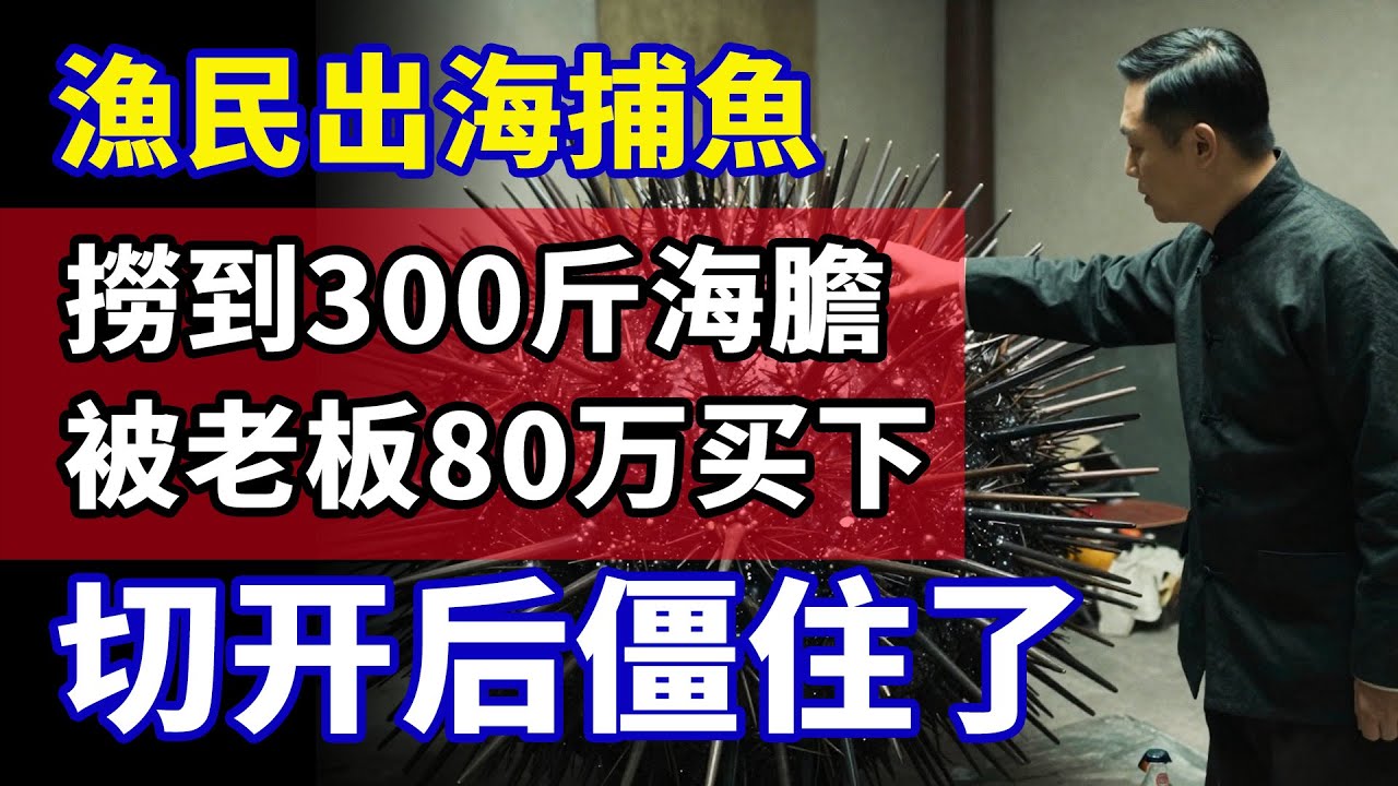 漁民出海竟撈到300斤的大海膽，當場被老板花80萬買斷！一刀切開後，在場所有人僵住了...