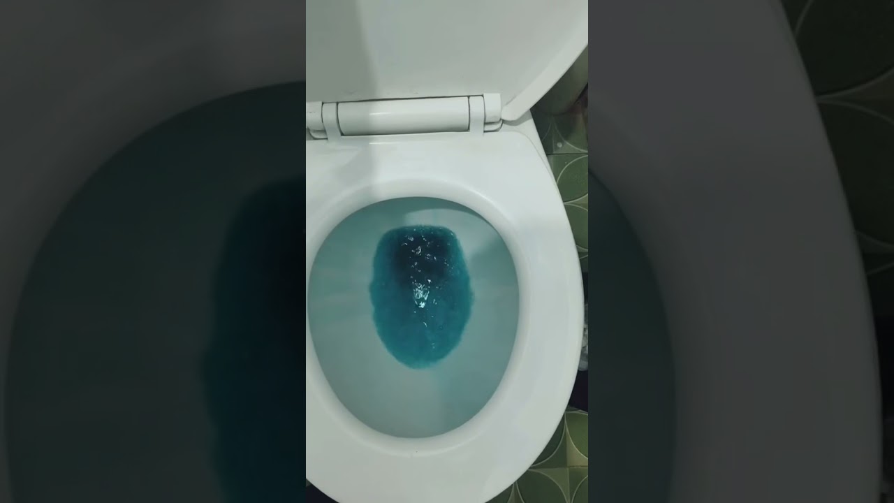 Cara memakai blue clean di closet duduk 