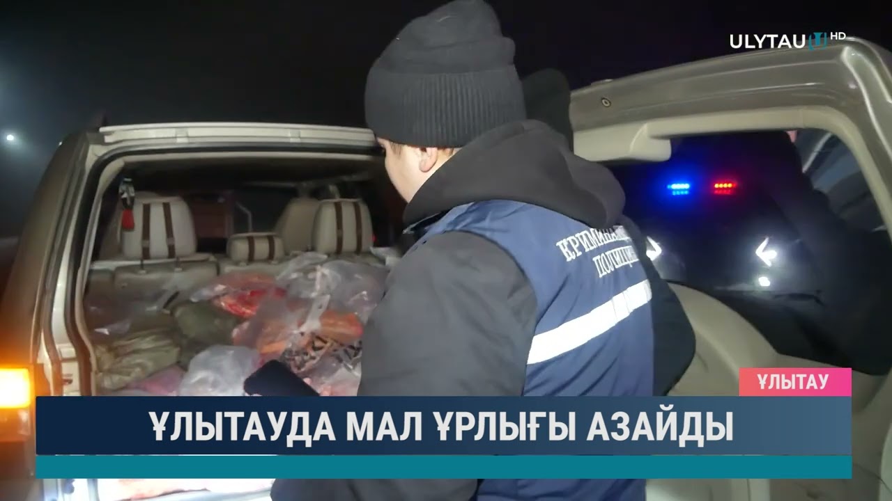 Ұлытауда мал ұрлығы азайды