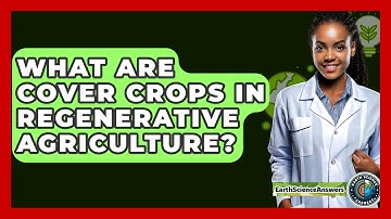What Are Cover Crops In Regenerative Agriculture? - Earth Science Answers