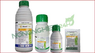 ANVIL 5SC Thuốc Trừ Bệnh Cây Trồng | Nông nghiệp 24h
