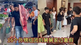16个外甥组团到舅舅家过暑假,舅舅的悲惨生活就此开始