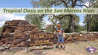 Experience Nature's Paradise: Palmetto State Park Tour | RV Texas