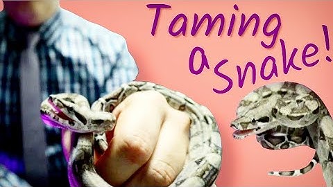 How to tame a Defensive Snake