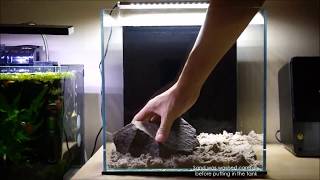 Aquascape Tutorial - "The Jungle Cube"- Step-by-Step Setup