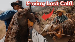 Roping Runaway Cattle GONE WRONG!? [pt. 1/3]