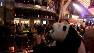 Dancing With Kung Fu Panda Royal Caribean Allure Of The Seas