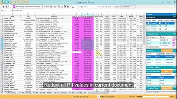 PII Identification and redaction in document in Exolution - Native Excel File Redaction Software