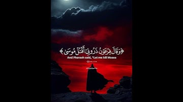 المقطع الاكثر طلبا♥️🎧#تلاوة_خاشعة#معاذ_صيام#راحة_نفسية#quran#قرآن#القرآن_الكريم