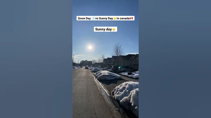 snow day❄️ vs sunny day☀️ in canada🇨🇦 || #shorts #viral #short #trending #canada #youtubeshorts