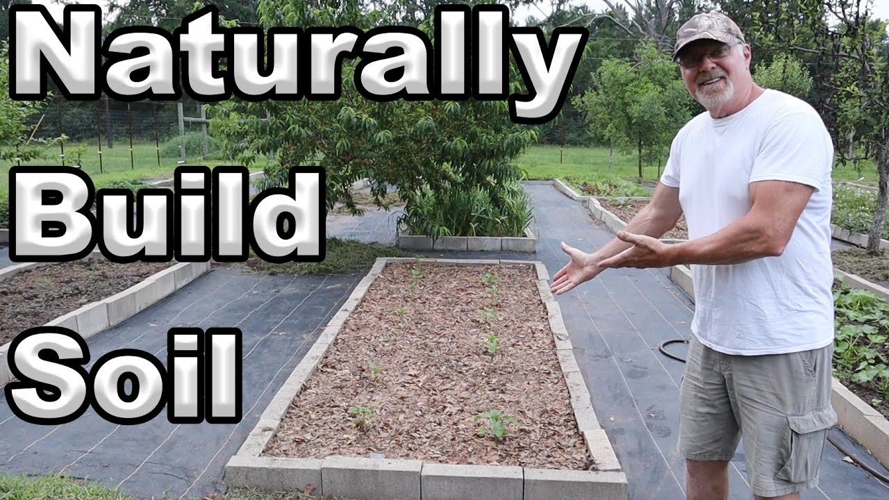How To Build Soil And Keep Weeds Down Plus Garden Updates - YouTube
